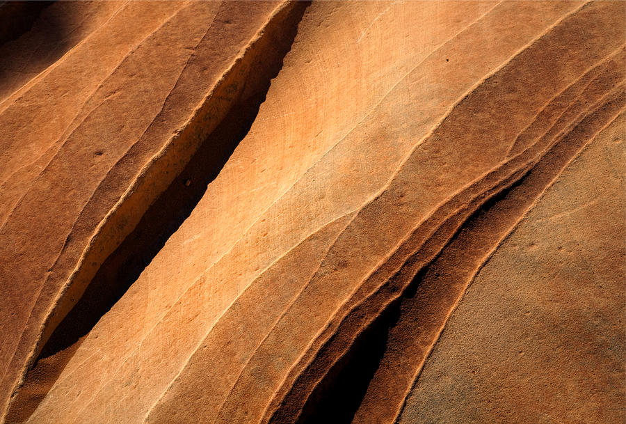 Desert Photograph - Desert Lines by Michael Dawson