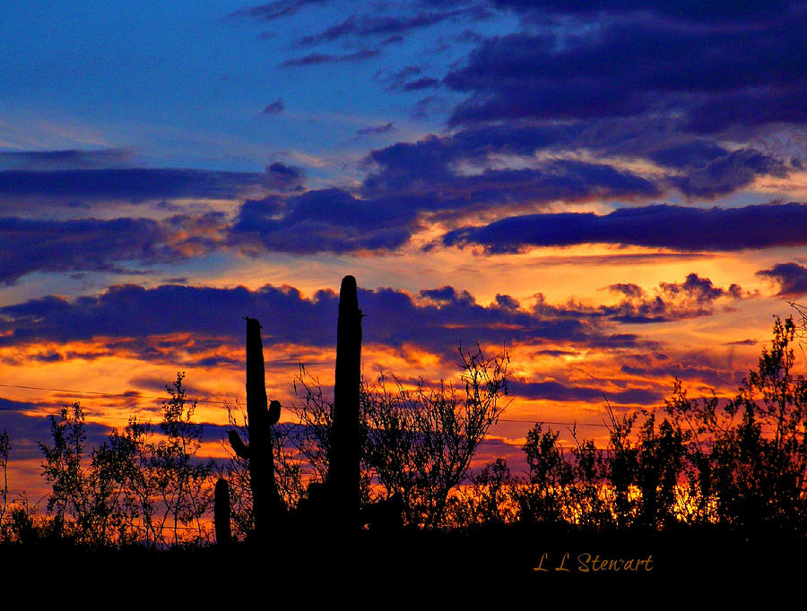 Desert Love Photograph by L L Stewart