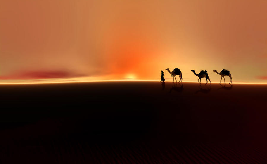 Sunset Photograph - Desert mirage by Valerie Anne Kelly