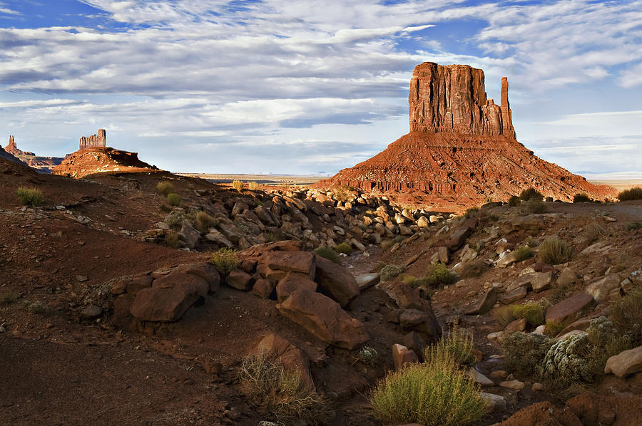 Desert Mitten Photograph by John Christopher