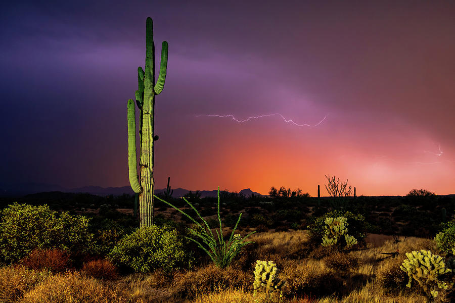 Desert Monsoon Photograph by Anthony Citro