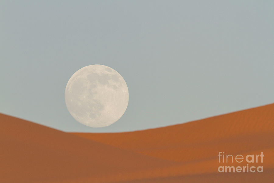 Desert Moon 1 Photograph by Daniel Knighton