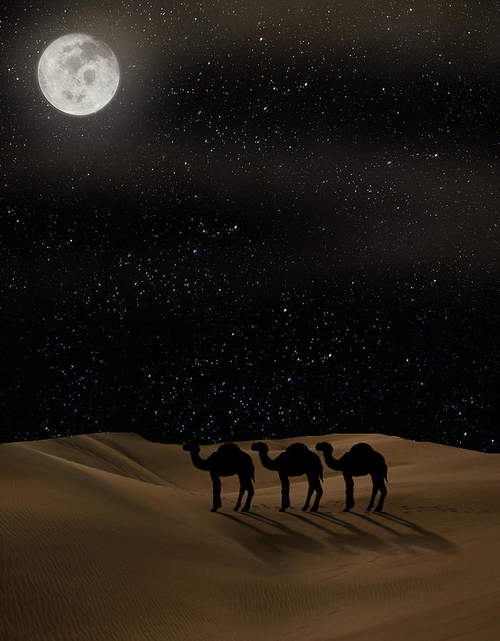 Desert Moon Digital Art by Gravityx9  Designs