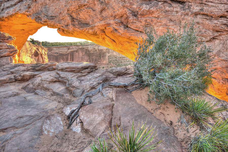 Desert Photograph - Desert Morning - Canyonlands National Park by Gregory Ballos