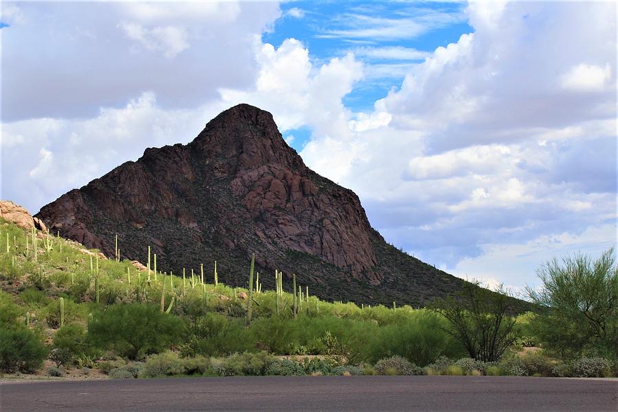 Arizona Photograph - Desert Mountain 11 by Kathleen Heese