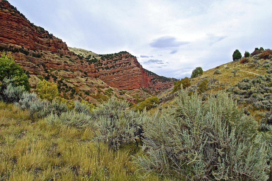 Desert Mountain Landscape in Echo Canyon, I 80, Utah Photograph by Ruth Hager