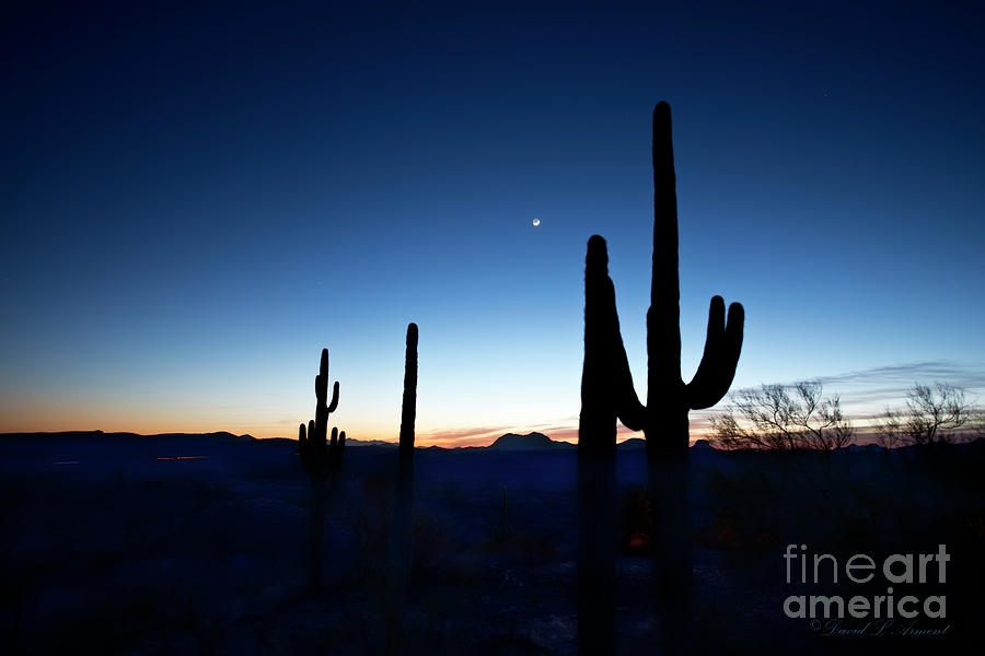 Desert Night Photograph by David Arment