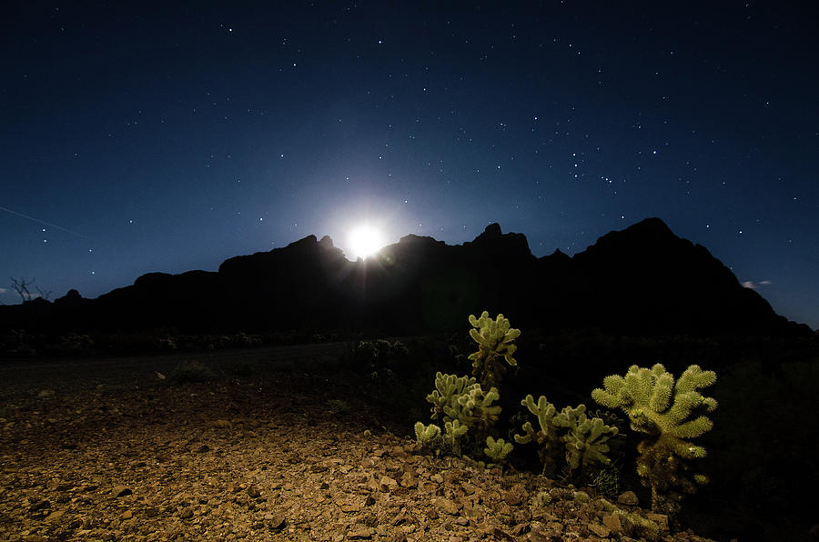 Desert Nightfall Photograph by Margaret Pitcher
