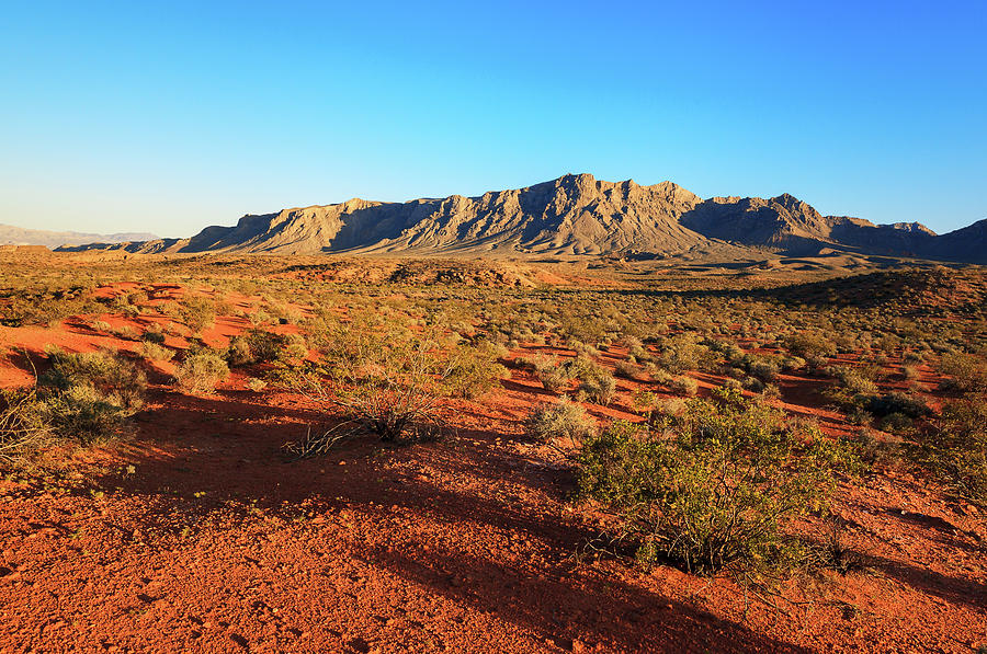 Desert over Sunset Photograph by Evgeniya Lystsova - Fine Art America