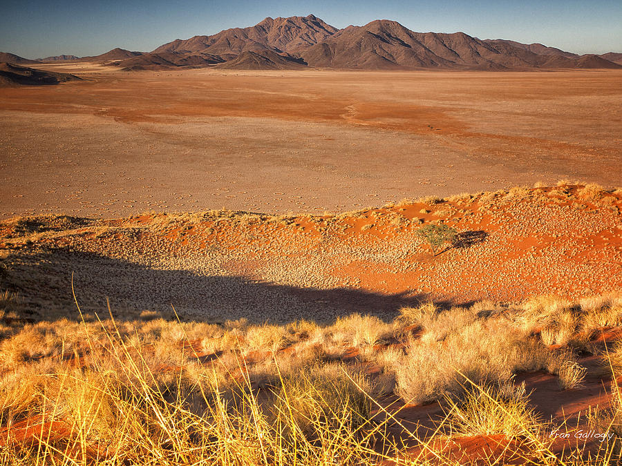 Desert Overlook Photograph by Fran Gallogly