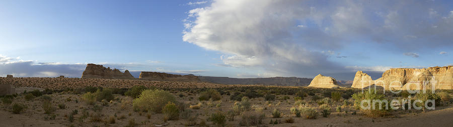 Desert Panorama Photograph by Karen Foley