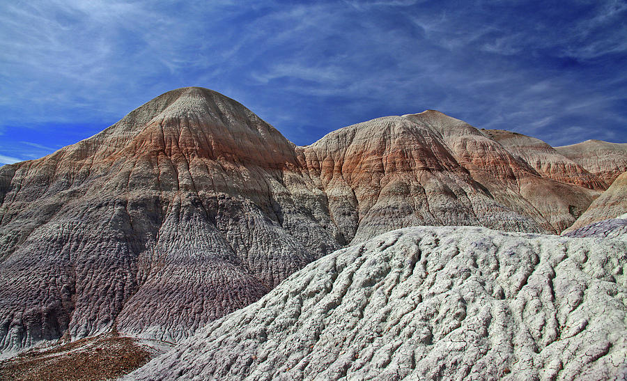 Desert Pastels Photograph by Gary Kaylor
