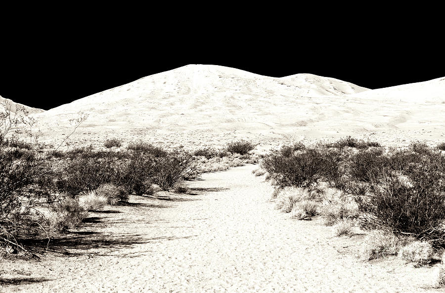 Desert Path at Mojave National Preserve Photograph by John Rizzuto