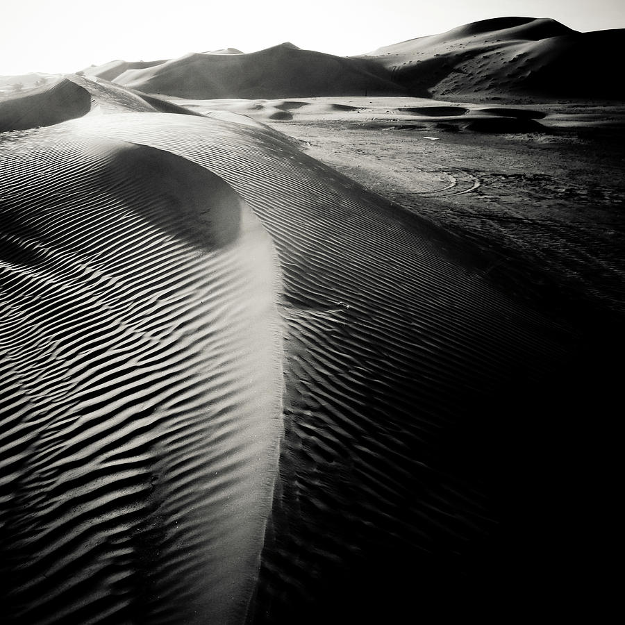 Desert Path Photograph By Ella Matthews - Fine Art America