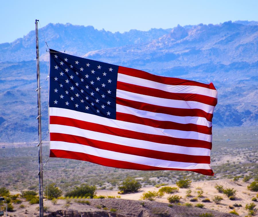 Desert Patriot American Flag Painting by Barbara Snyder