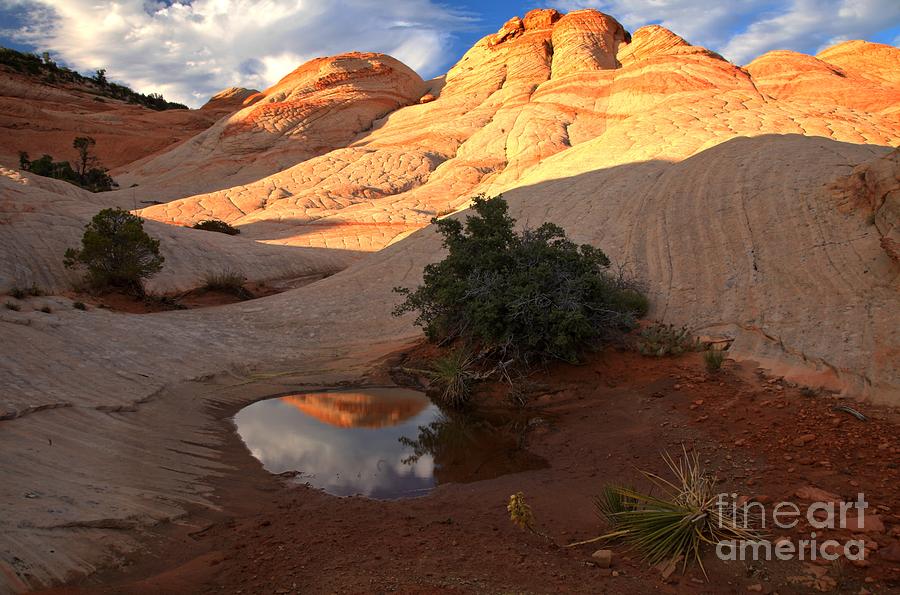 Desert Pool Mirror Photograph by Adam Jewell