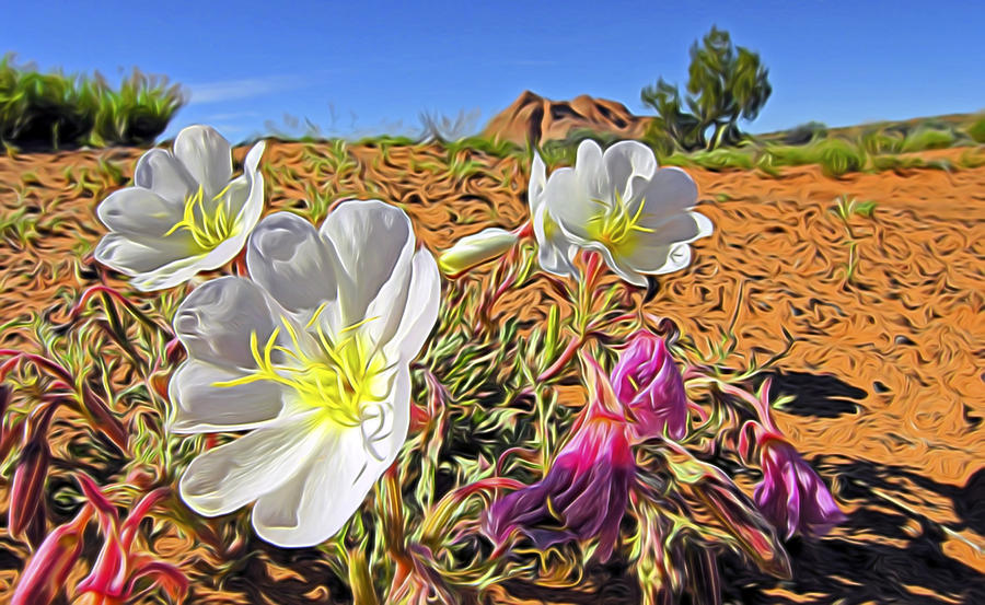 Desert Primrose 4 Digital Art by William Horden