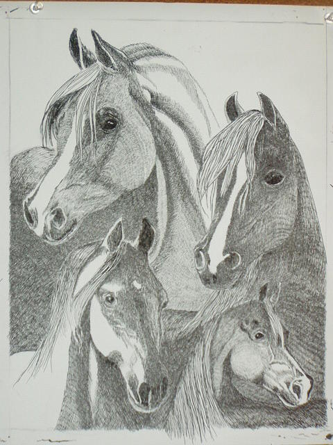 Arabian Horses Drawing - Desert Quartet by John  Labbe