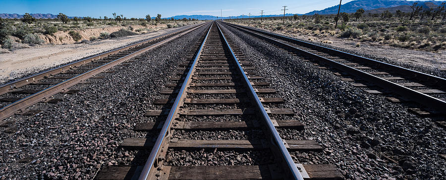 Transportation Photograph - Desert Rails by Steve Gadomski