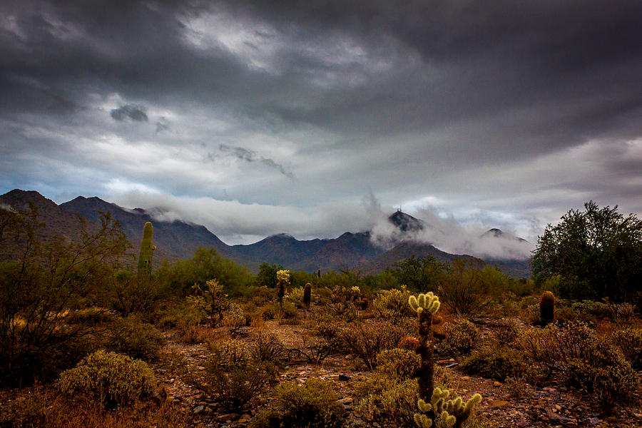 Desert Rain Photograph by David Barile