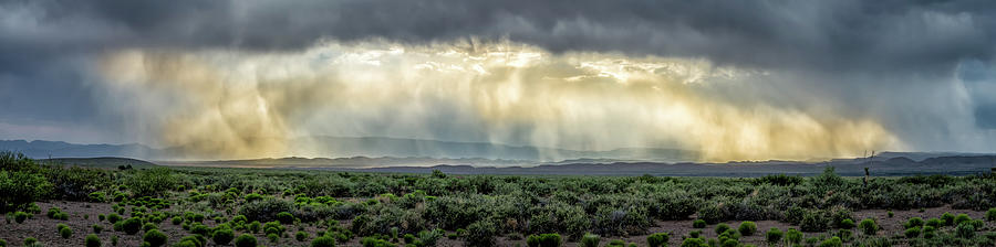 Desert Rain Photograph by James Barber