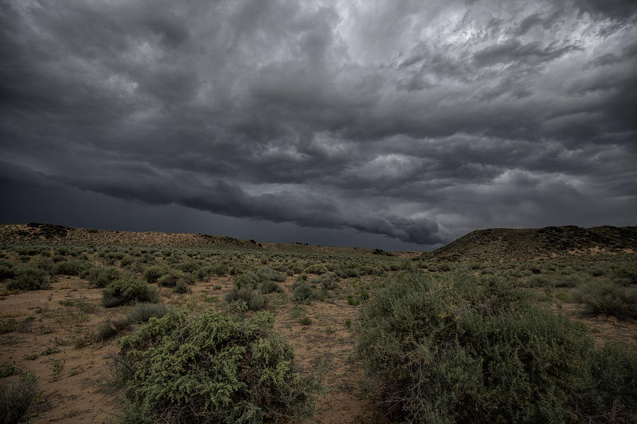 Desert Rain Photograph by Jim Buchanan