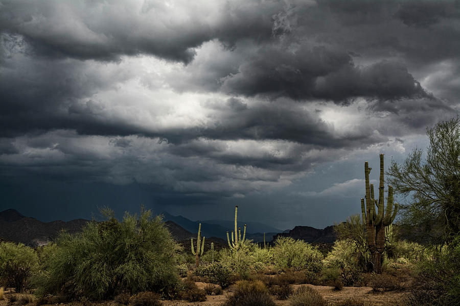 Desert Rain on the Horizon Photograph by Saija Lehtonen