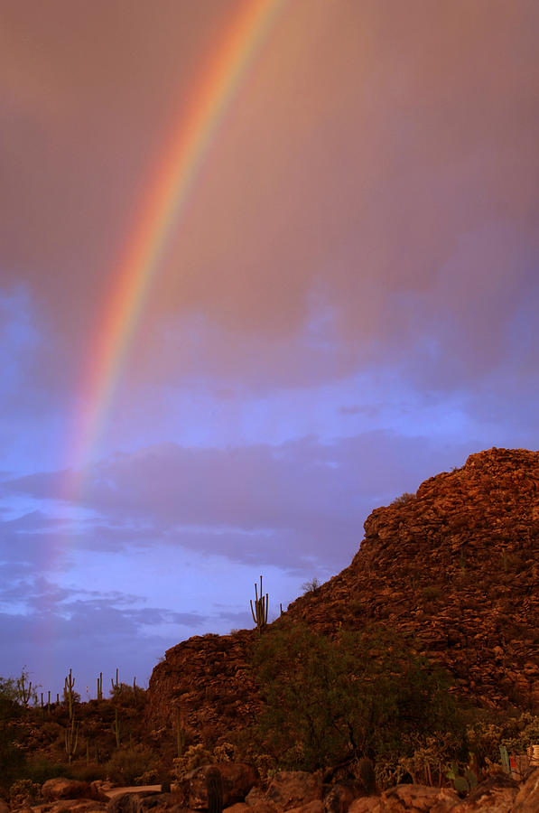 Desert Rainbow Photograph by Jill Reger