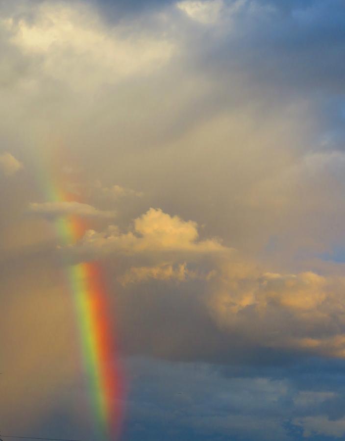 Desert Rainbow Photograph by Judy Kennedy