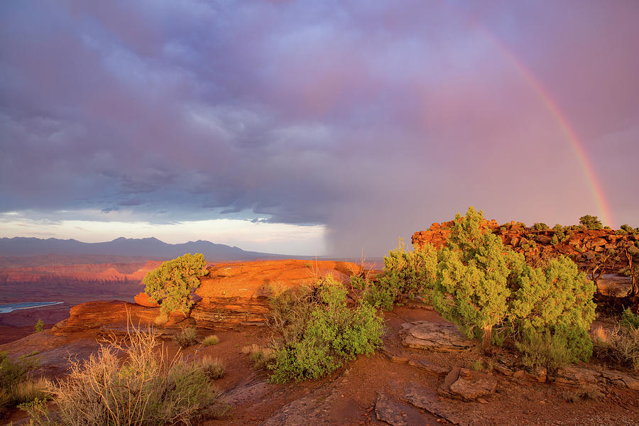 Desert Rainbow Photograph by Kyle Lee