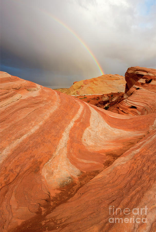 Desert Rainbow Photograph by Michael Dawson