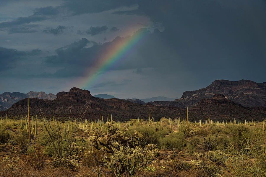 Desert Rainbow  Photograph by Saija Lehtonen