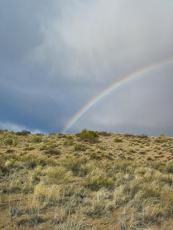 Desert Rainbow - Socorro - NM Photograph by Steven Ralser