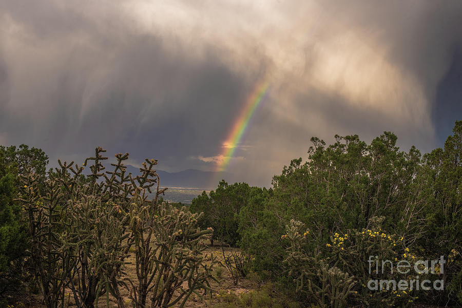 Desert Rainbow Photograph by Steven Natanson