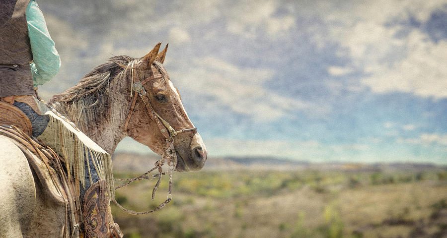 Desert Ride Digital Art by Rick Mosher