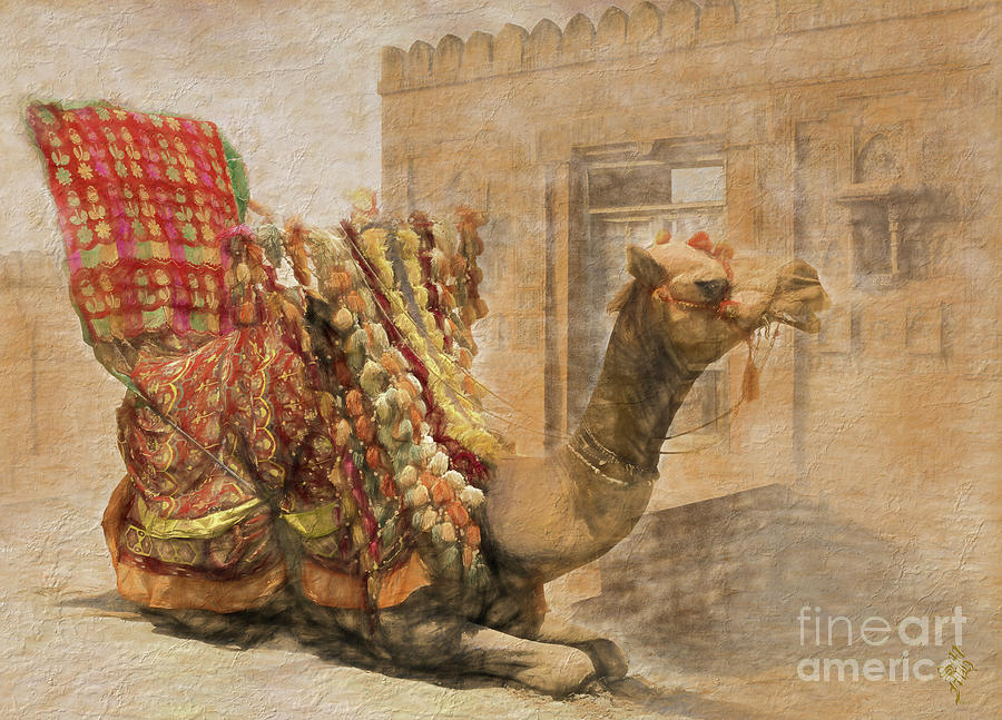 Desert Ride Digital Art by Syed Muhammad Munir ul Haq