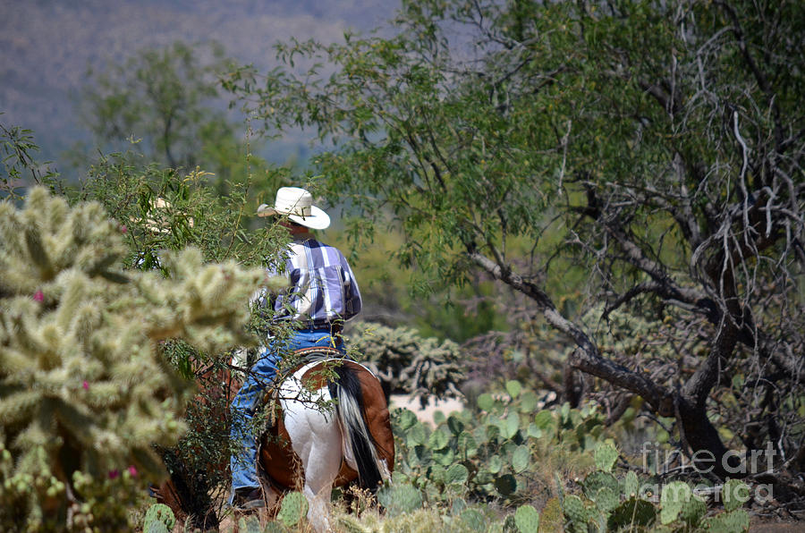 Desert Rider Photograph by Deb Halloran
