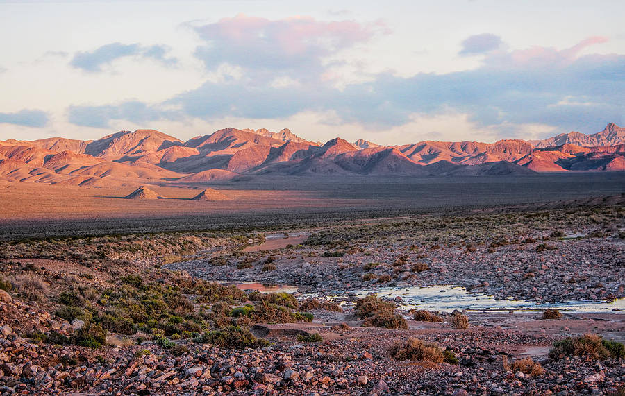 Desert River Sunset Photograph by Rick Wicker
