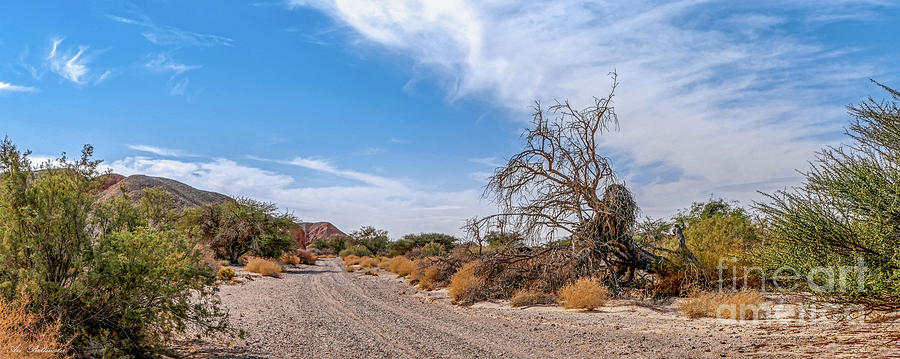 Desert road Photograph by Arik Baltinester