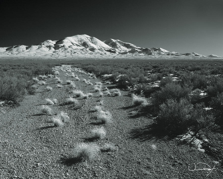 Mountain Photograph - Desert Road Black and White by Vance Fox