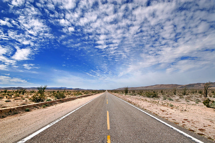 Desert Road Photograph by Peter Tellone