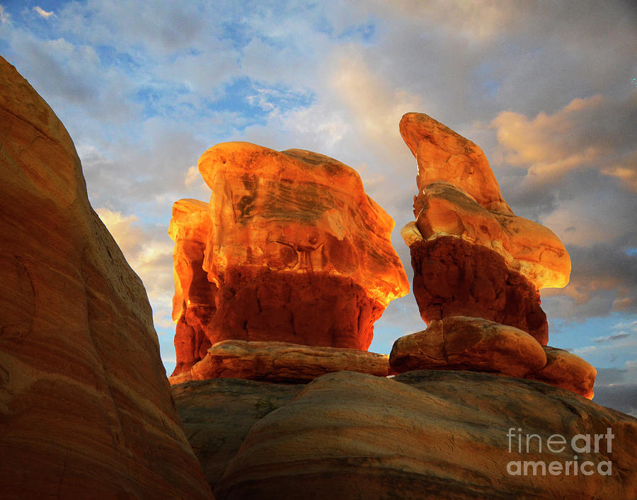 Desert Rock Desert Light Photograph by Bob Christopher