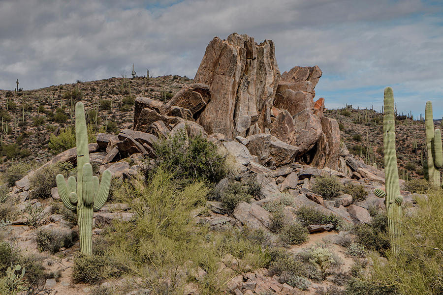 Desert Rock Formation Photograph by Teresa Wilson