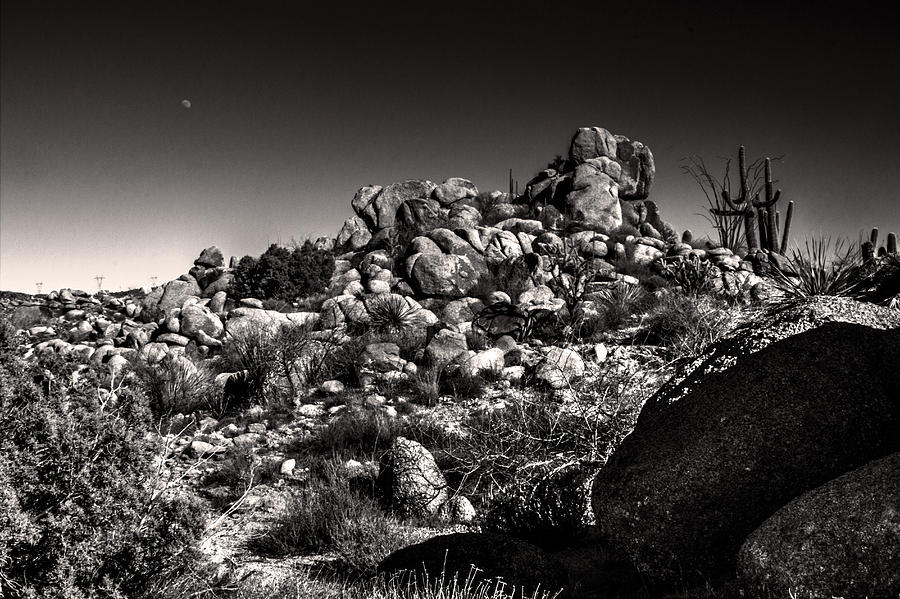 Desert Rocks and Half Moon Photograph by Roger Passman