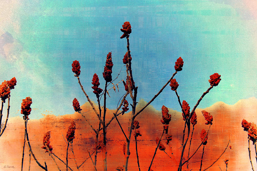Desert Roses Digital Art by Shawna Rowe