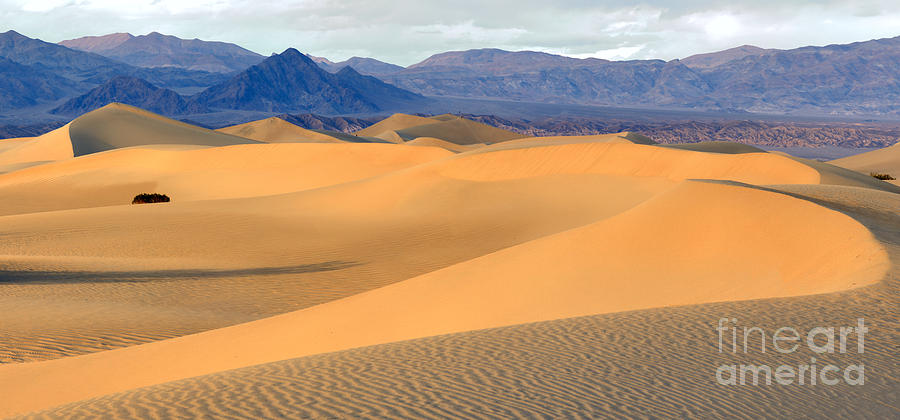 Death Valley National Park Photograph - Desert Sand Dunes Panorama by Adam Jewell