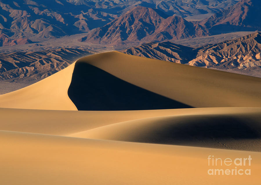 Desert Photograph - Desert Sand by Michael Dawson