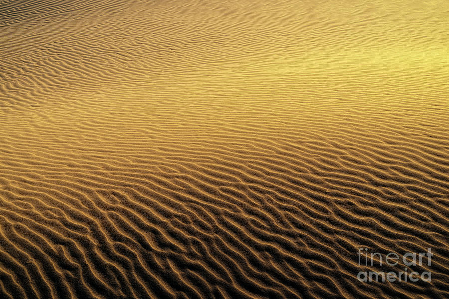 Desert Sands Photograph by Paul Woodford
