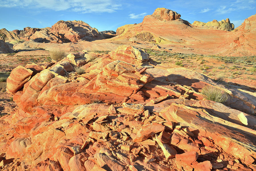 Desert Sandstone in Valley of Fire Photograph by Ray Mathis