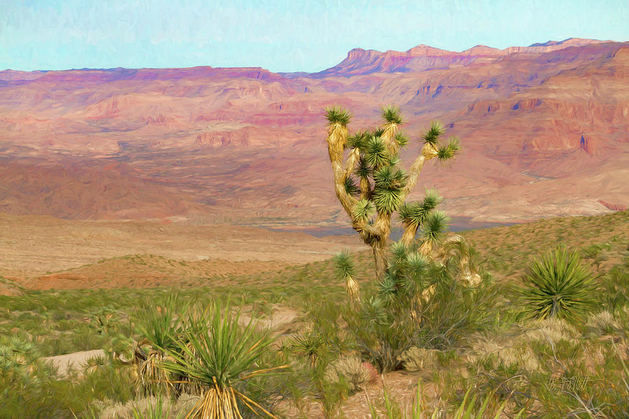 Desert Scene Near Grand Canyon West Photograph by Bonnie Follett